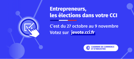 Newsletter elections