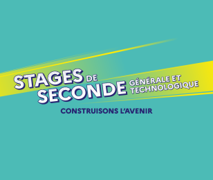 stage de seconde