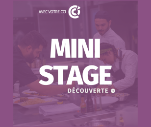 Mini stage