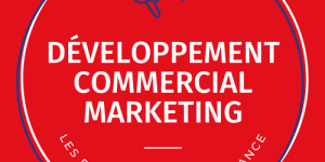 RP 23 Développement Mkg Commercial